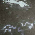 http://argocd.lightizm.com/files/gimgs/th-76_71_Nostalgia1_v2.jpg