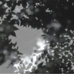 http://argocd.lightizm.com/files/gimgs/th-76_71_Nostalgia2_v2.jpg